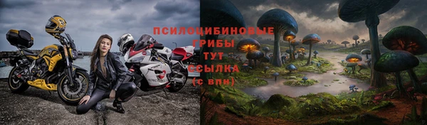 spice Беломорск